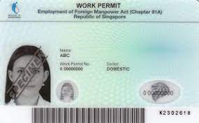 Work Permit for Foreign Domestic Workers