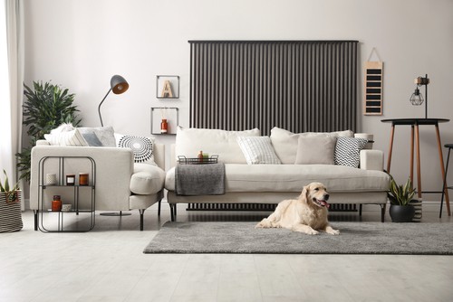 Tips for Maintaining a Clean Home Between Maid Visits